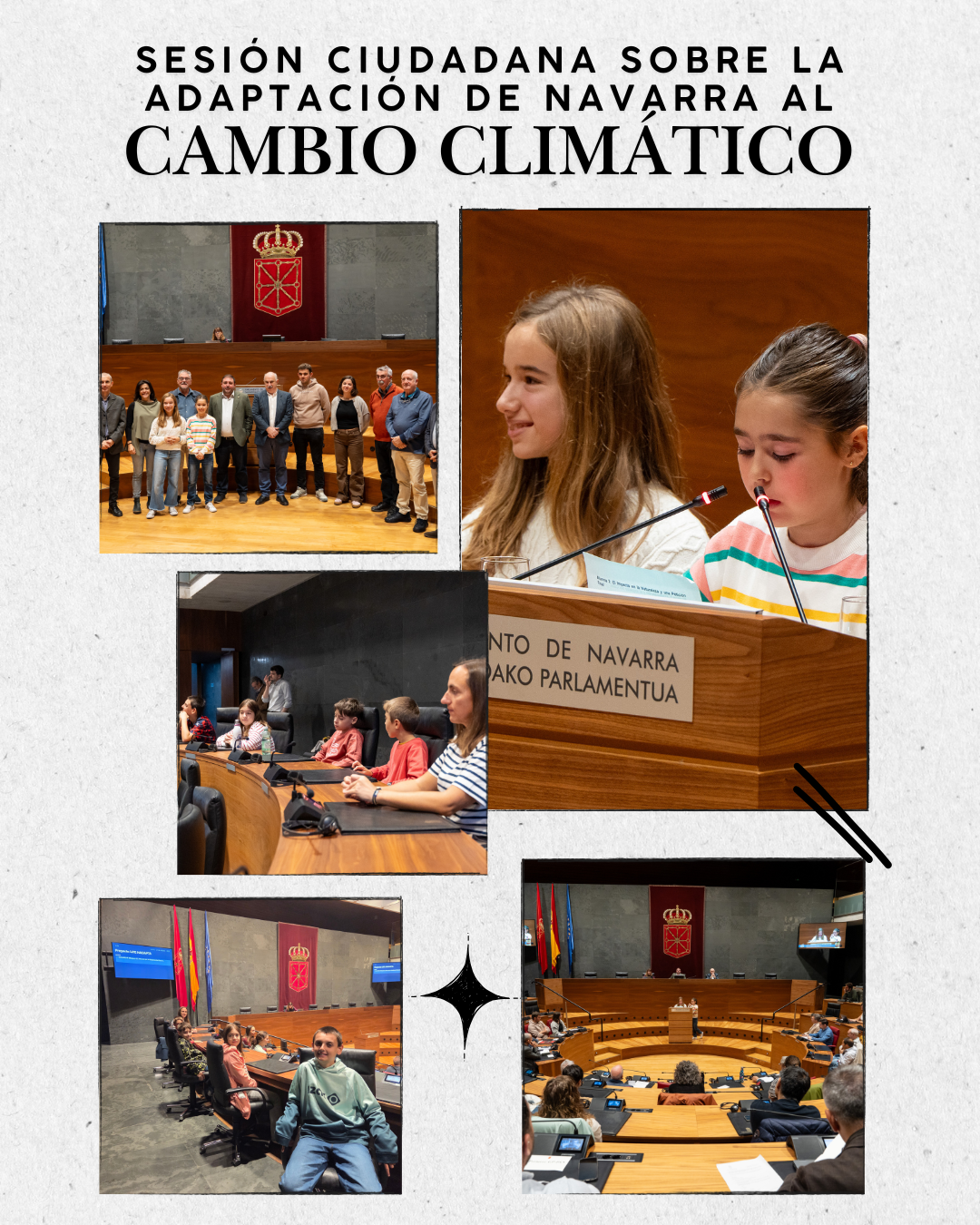 Ermitagaña en el Parlamento de Navarra